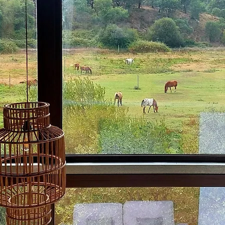 Herdade Do Moinho Novo *