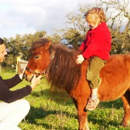 穆勒农场度假屋 度假居 *