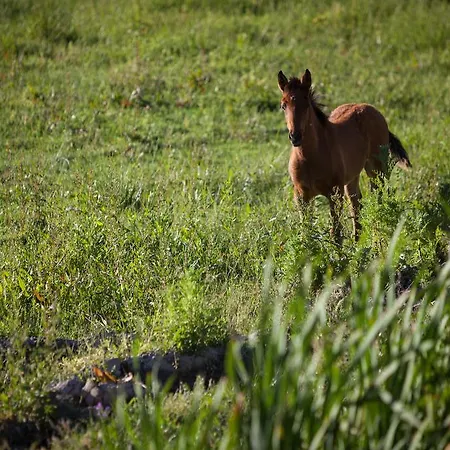 穆勒农场度假屋 度假居 *