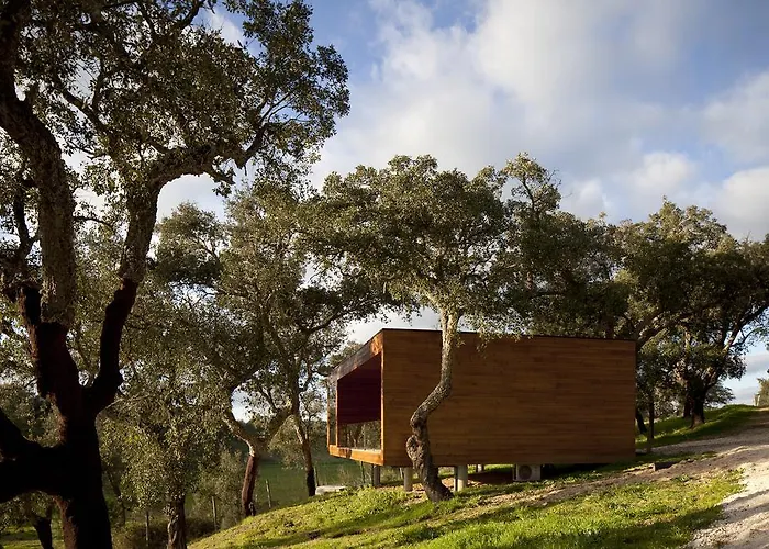 Herdade Do Moinho Novo 펜션