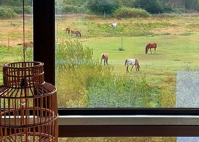 Herdade Do Moinho Novo *