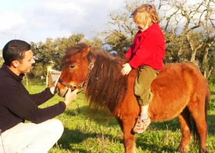 Herdade Do Moinho Novo 펜션 *