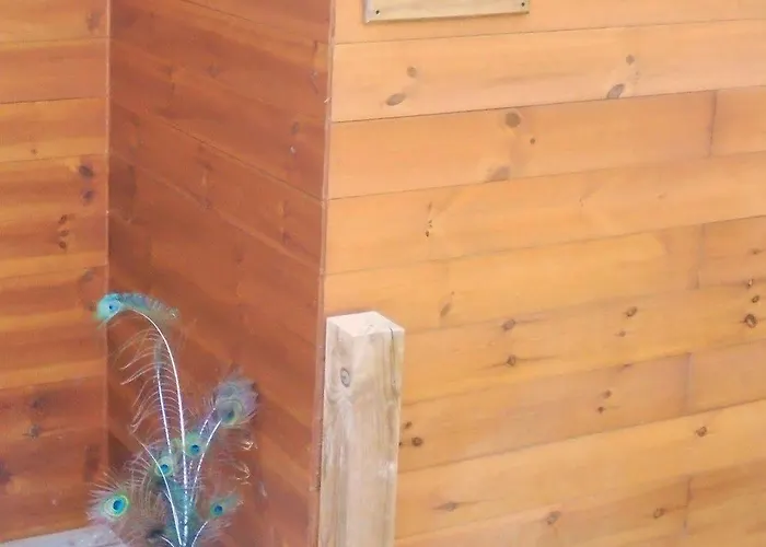 Herdade Do Moinho Novo Canha